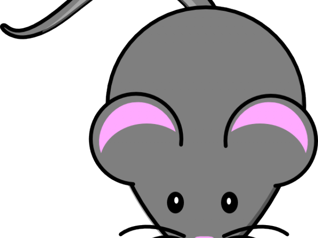 Mice Clipart Nose - Imagen De Un Raton Gris (640x480)