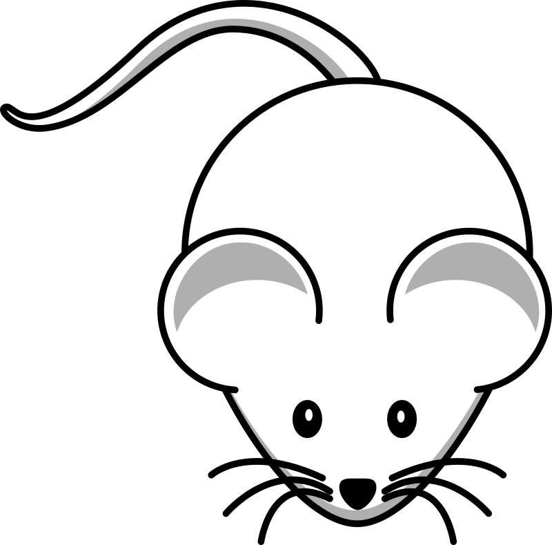 Cute Rat Drawing - Cartoon Mouse (800x789)