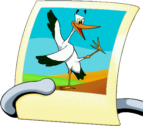 Stork Picture - Stork Picture (475x432)