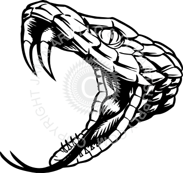 Rattlesnake Black And White (361x342)
