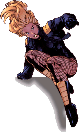 Arrowette, Wondergirl, & The Secret - Black Canary Noir (294x459)