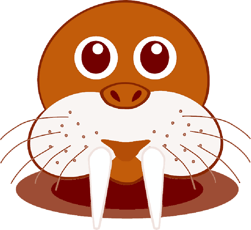 Elephant Seal, Seecatch, Seal, Marine, Sea Life, Fangs - Seal Head Png (800x733)