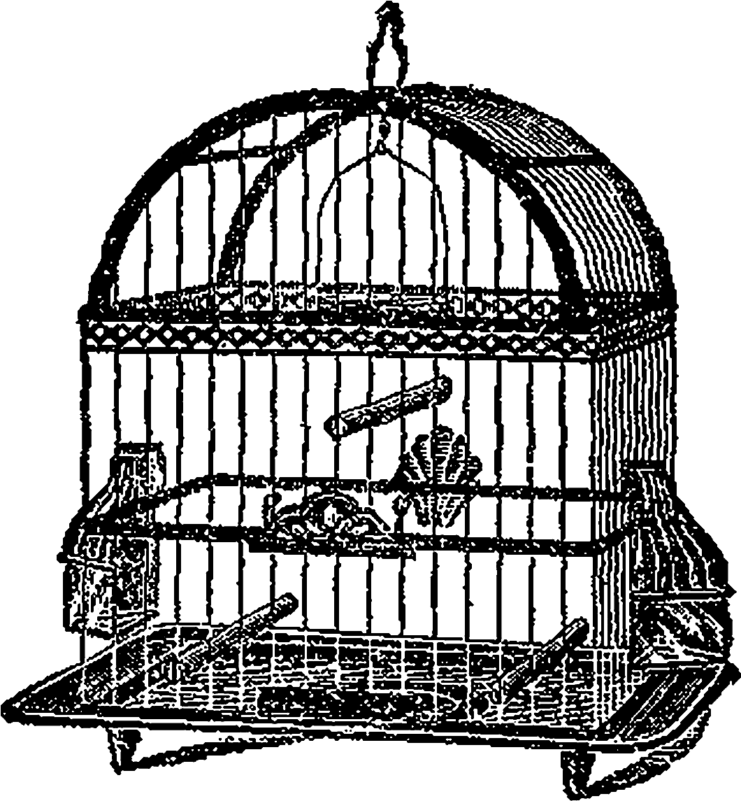 Birdcage Bird Clipart Illustration Artwork Digital - Cage (1245x1269)