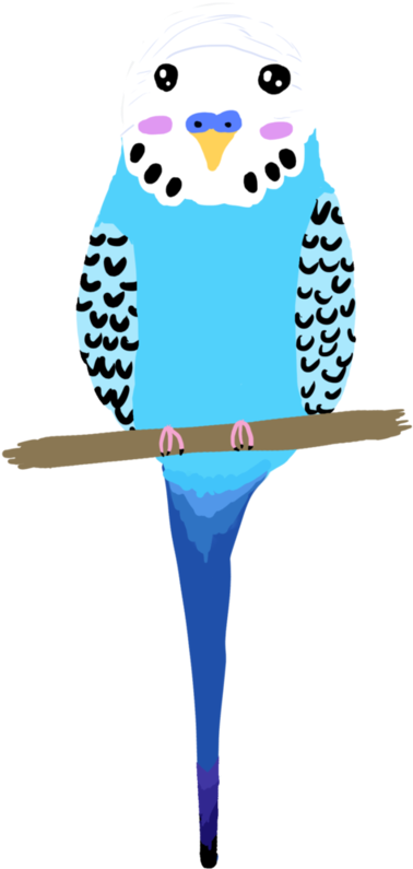 Interesting Use Of Colour And Shape For Budgie - Budgie Cartoon (816x979)
