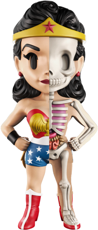 Golden Age Wonder Woman - Xxray Golden Age Wonder Woman (800x800)