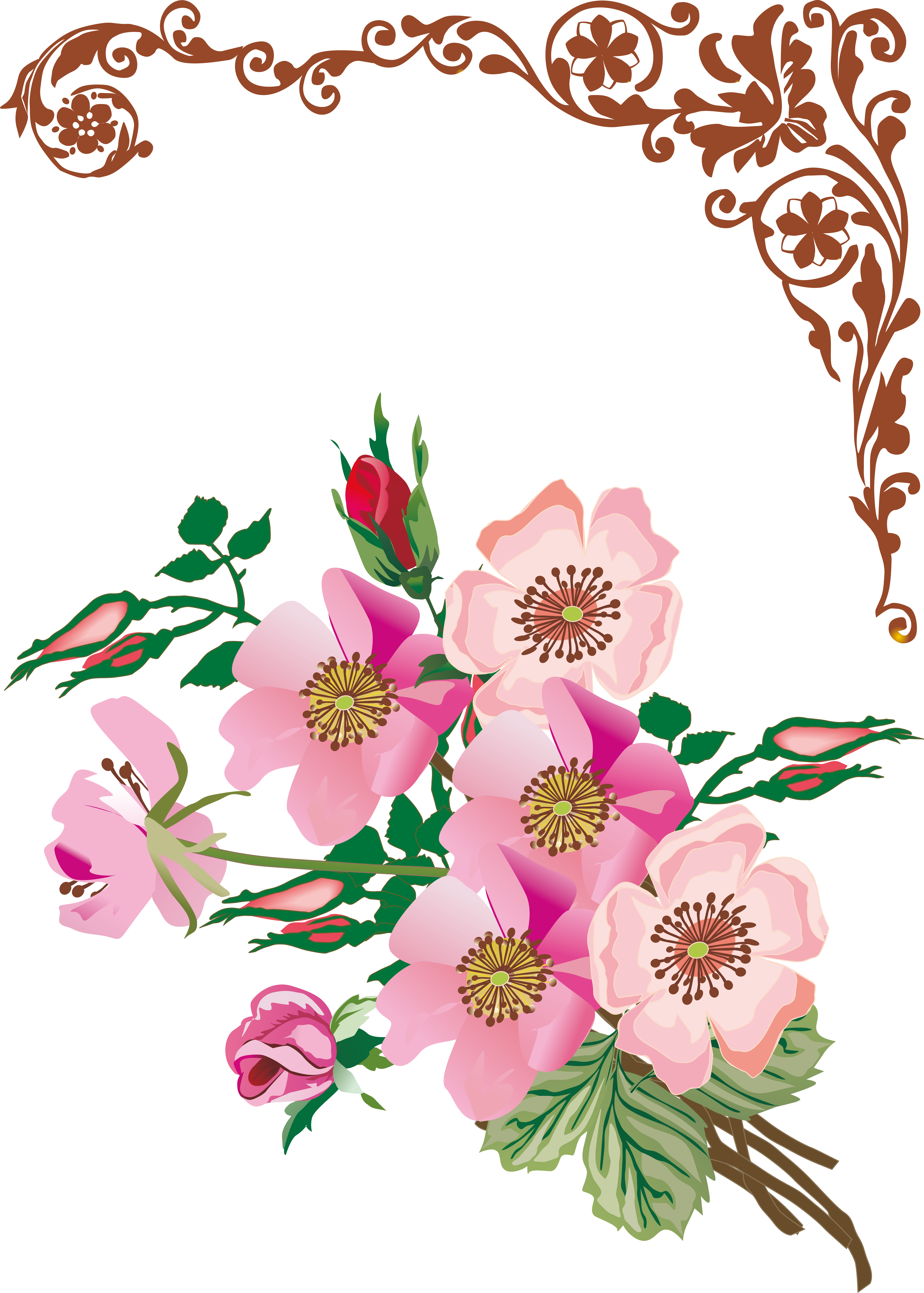 Floral Design Flower Vector Flower 6257 8756 Transprent - Floral Design Flower Vector Flower 6257 8756 Transprent (6257x8756)