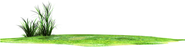 Horizon Grass Lands Stock Png By Madetobeunique On - Photoshop Stock Png (600x706)