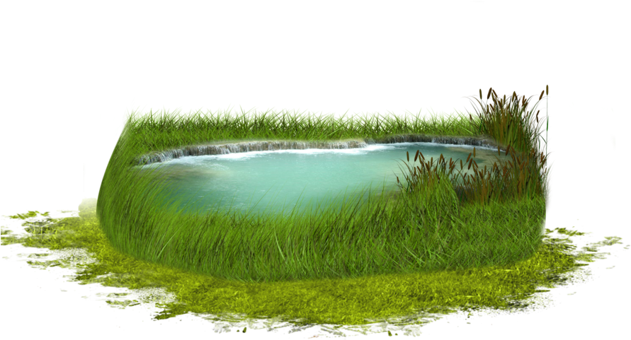 Moonglowlilly 754 230 Png Pond By Moonglowlilly - 草地 3d (900x562)