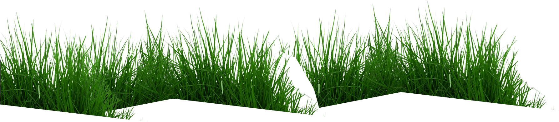 Parallax-grass - Sweet Grass (2120x1280)