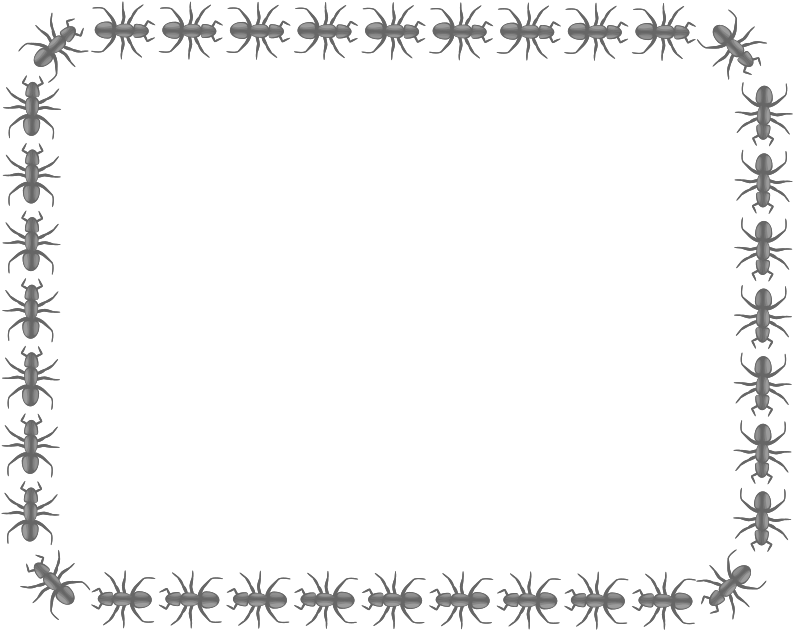 Ant Border Rectangle Clipart - Ant Border (800x637)
