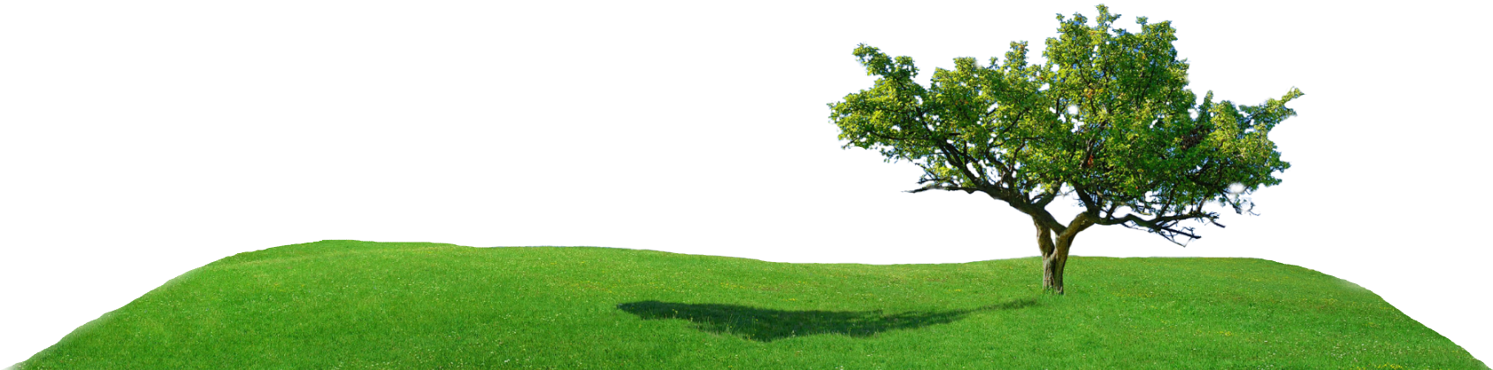 Find Your Balance - Oak (1796x685)