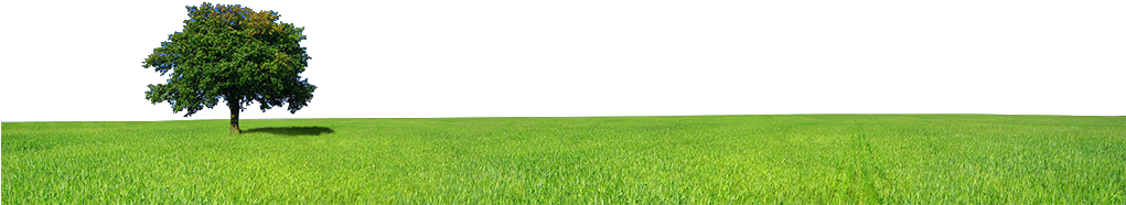 Universal Renewables O&m Ltd Specialise In Small To - Green Computing (1020x325)