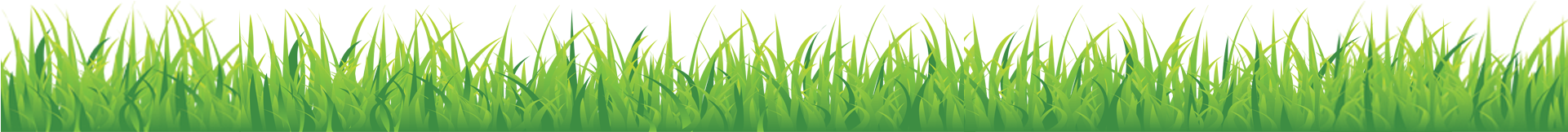 Grass (1920x282)