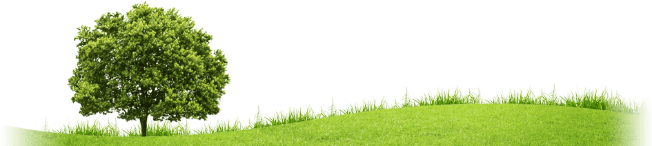 In Abc Modular Architecture We Believe In The Future - Linea De Pasto Png (1000x217)