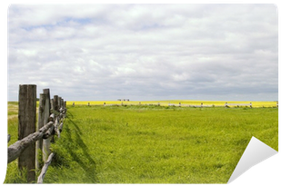 Steppe Landscape - Kantrie Professional Fliegenausreitdecke Zebra , 155 (400x400)