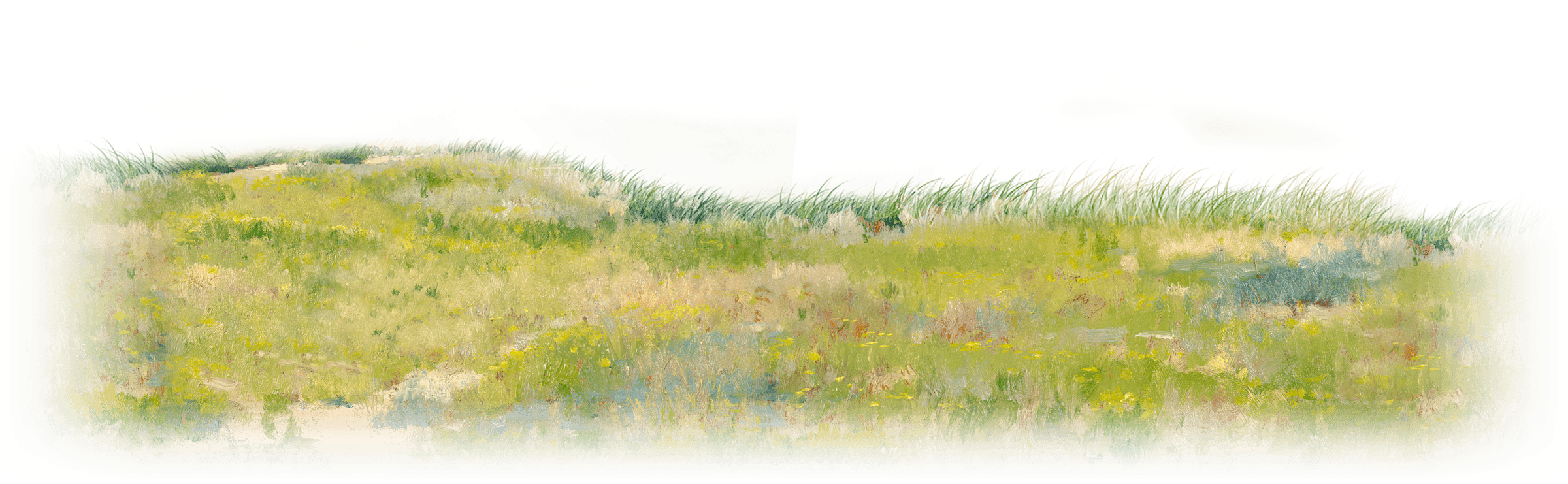 Market Revolution - Paint Grass Png (2400x1350)