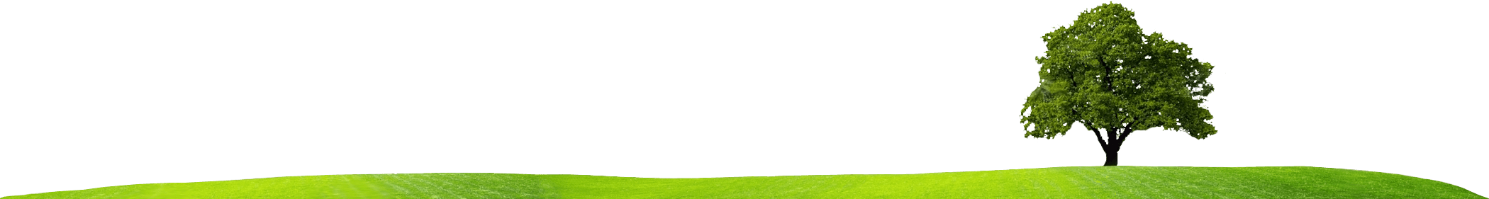 Monroe, Collier, Martin, Hendry And Lee County - Paisajismo Png (2100x281)