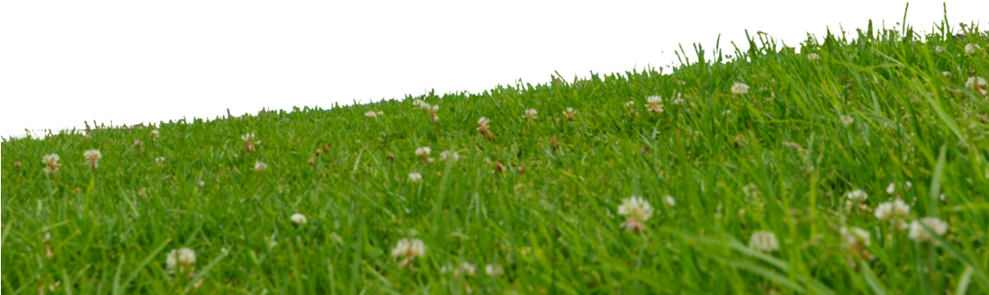 Grass On A Slope Dsc 0174 By Annamae22 - Lawn (1098x727)