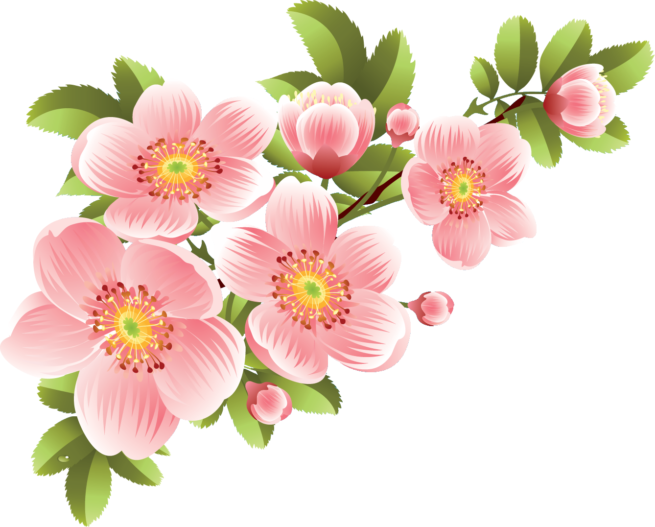 Do Not Forget To Click On Our Sponsors - Flower Banner (1338x1076)