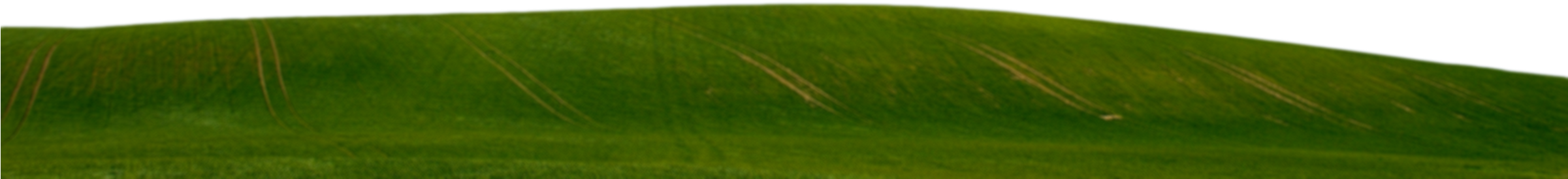 Green-grass - Grass (2400x600)