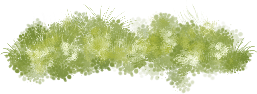 Seaweed Clipart Grass Land - 草叢 素材 (1024x368)