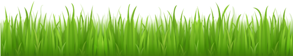 Download Free "grass Clipart 1" Png Photo, Images And - Download Free "grass Clipart 1" Png Photo, Images And (600x320)