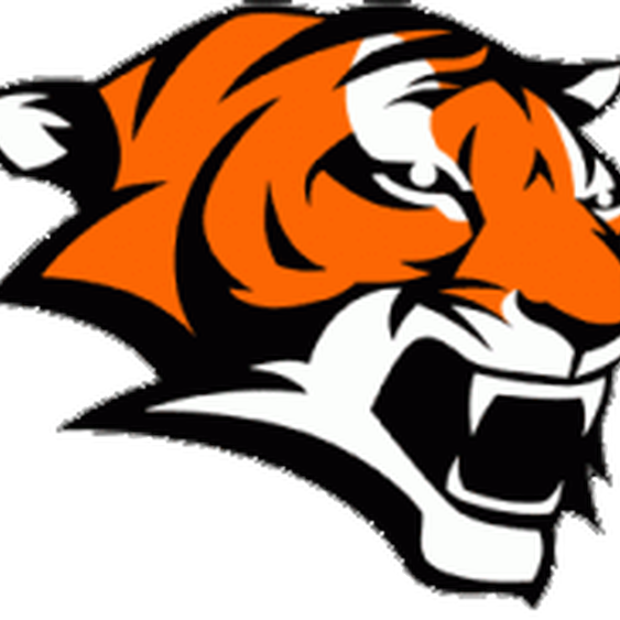 Governing Body - Marple Newtown High School Tiger (563x563)