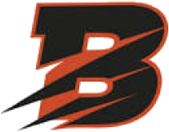 Byron Tigers - Byron High School Byron Il (720x573)