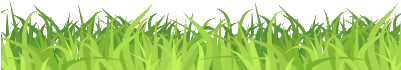 Pasture Cartoon Related Keywords Suggestions - Grama Vetor Png (400x300)