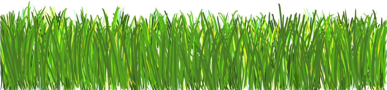 Grass Png - Png (1280x1024)