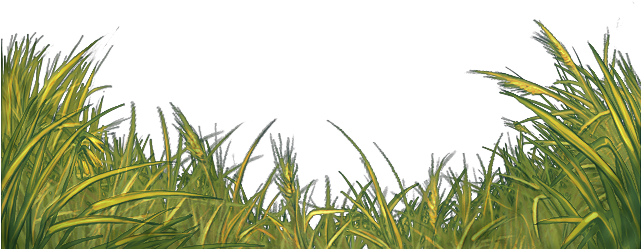 Sweet Grass (640x500)