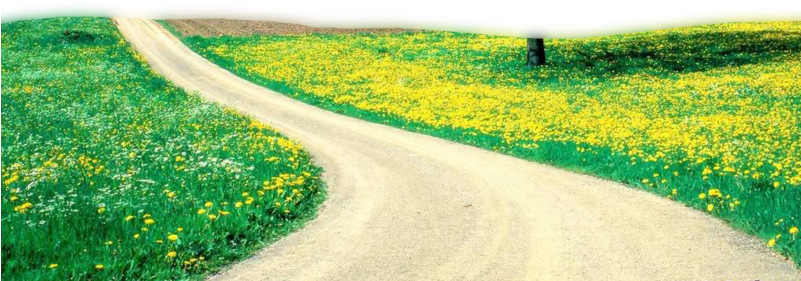 Publicat De Eu Ciresica La - Nature Backgrounds (800x600)