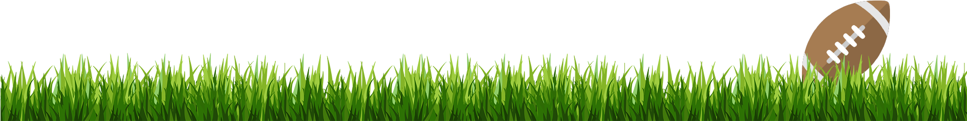 Grass Football - Paddy Field (1920x450)