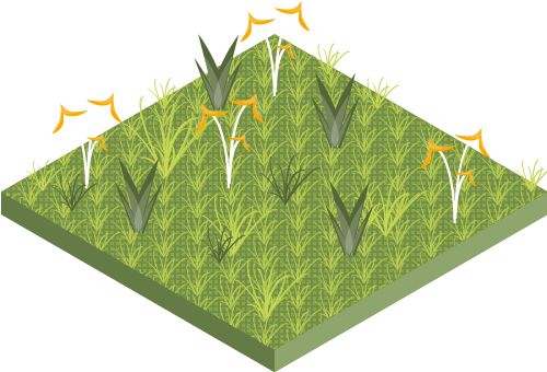 Grassland/herbaceous - Grass (500x500)