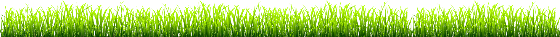 Sweet Grass (1900x500)