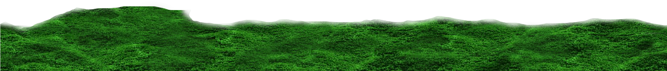 Parallax Green Front - Lawn (2120x1280)