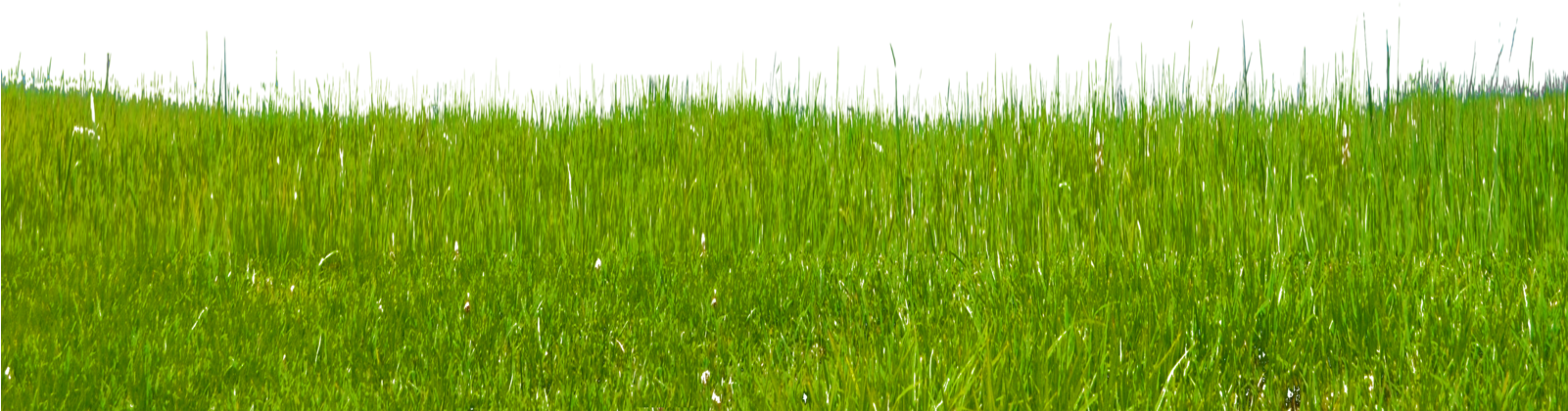Grass On Hillside Stock Photo 0171 Png By Annamae22 - Stock Photography (1600x1060)