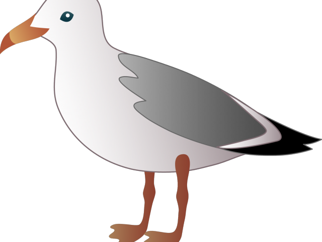 Seagull Clipart Post Clipart - Seagull Clipart (640x480)