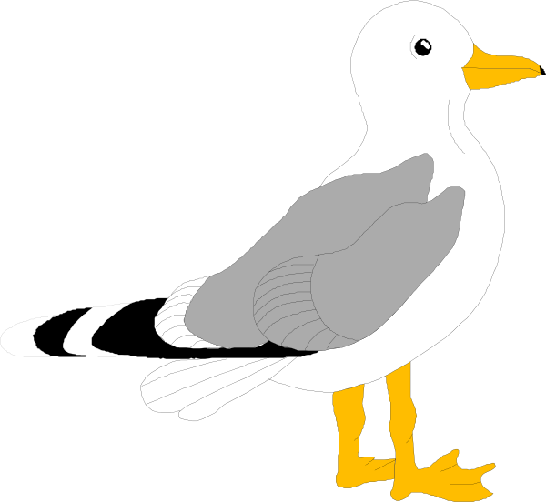 Seagull Craft Template - Seagull Clipart (600x552)