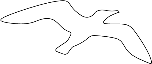 Seagull Animals Clipart Of Outline With The Keywords - Line Art (550x425)