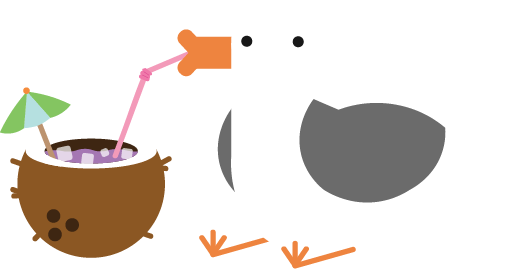 Seagull - Gulls (524x269)