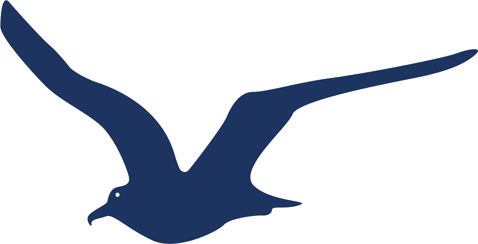 Seagulls - Seabird (2083x2083)