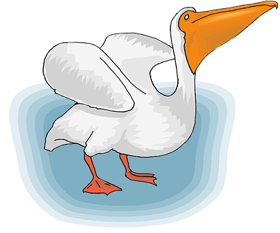 Pelican, Seabird - นก ทะเล ปาก ใหญ่ (428x340)