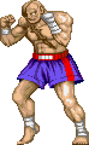 Ssf2t Sagat - Sagat Street Fighter (296x480)