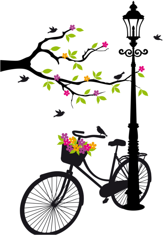Bicycle With Flower Vector (560x800)