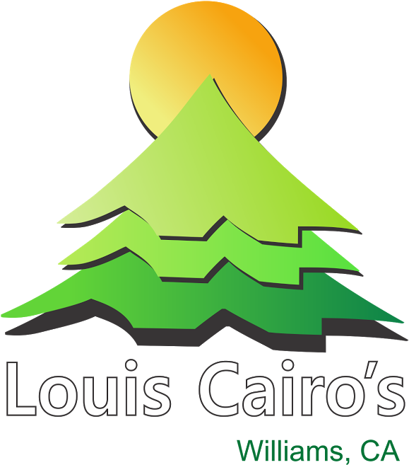 Logo - Graphic Design (634x656)