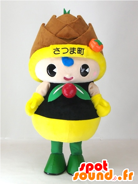 Satsumaru Chan Mascot, Giant Pine Apple - New Spotsound Masot Yuru-chara A Round-ji-kun Pink (600x600)