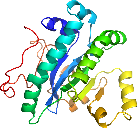 View In 3d - Domain Name (538x500)