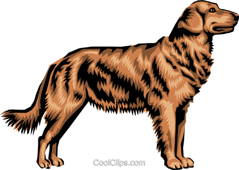 Golden Retriever Royalty Free Vector Clip Art Illustration - Golden Retriever Clipart Transparent (480x342)