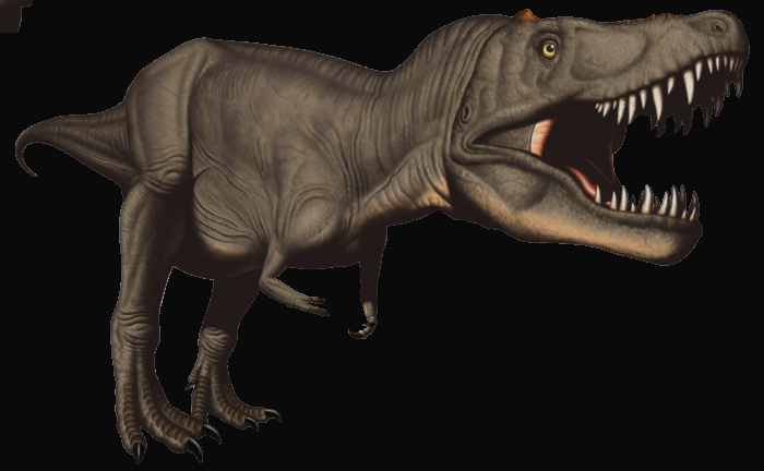 Tyrannosaurus (700x432)
